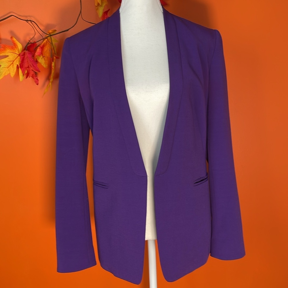 SFW Suitable for Work eggplant purple-Sz S - Picture 6 of 9